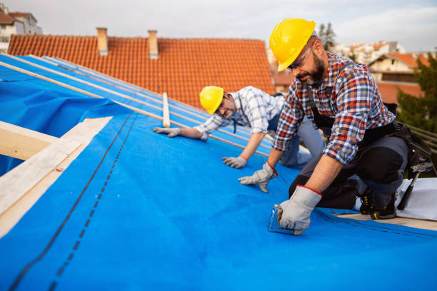 Best Metal Roofing Contractor  in Cimarron Hills, CO